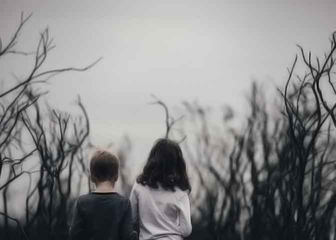 数字商品市场的器测压文章